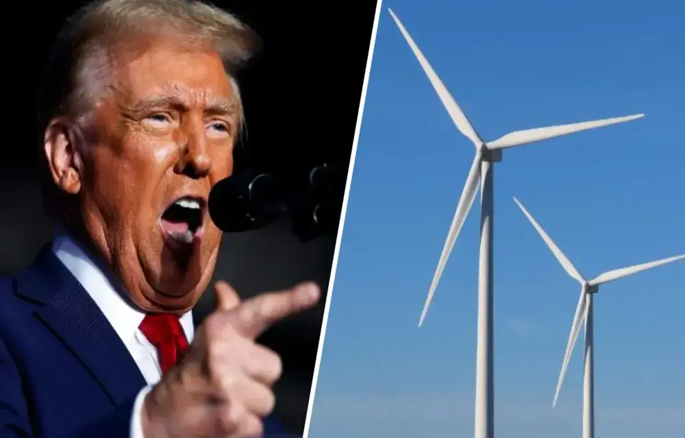 ‘His Brain Is A Potato’: Trump’s Latest Rant About Windmills Is Batsh*t Crazy